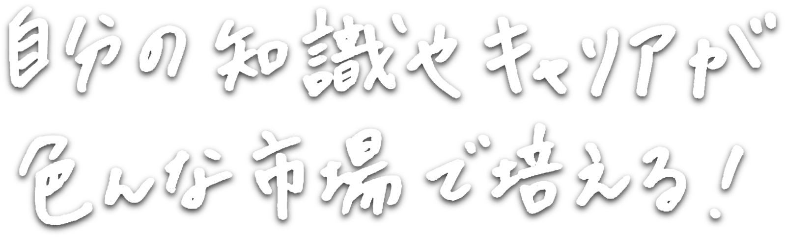 自分の知識やキャリアが色んな市場で培える！