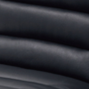 C1