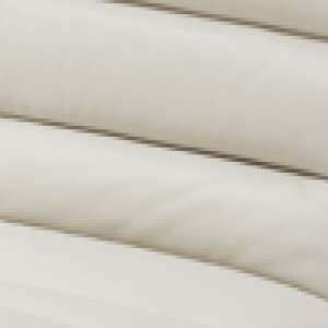 C2