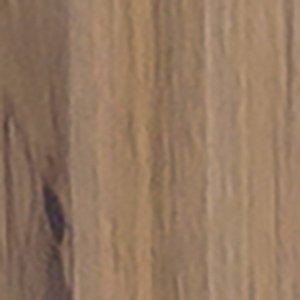 WNV