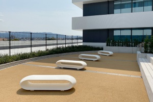 other_fujita1