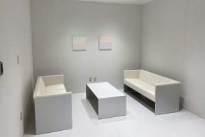 other_fujita2