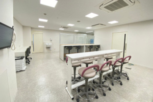 projects_202406_2_4