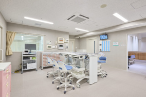 projects_202411_6_8